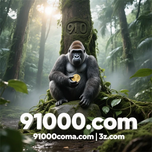 91000.com